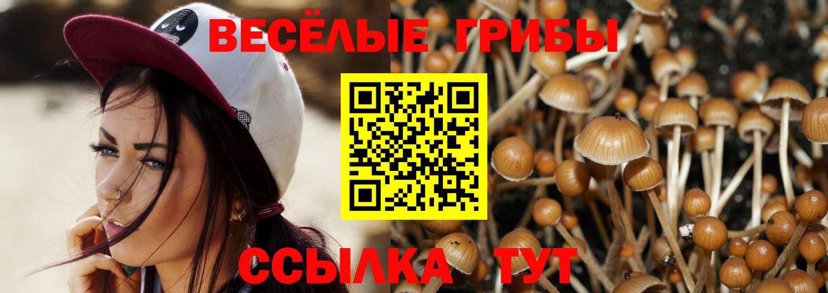 Мыски  наркотики  Вход с VPN  Псилоцибиновые грибы мухоморы 