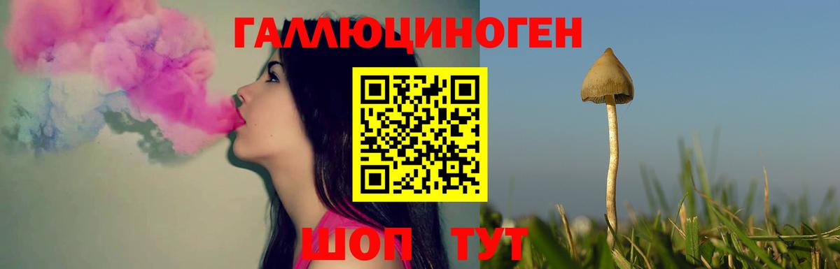 Псилоцибиновые грибы прущие грибы Мыски